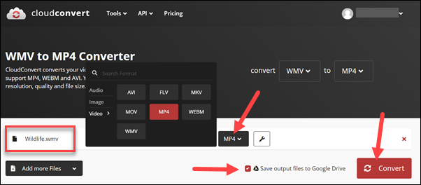 Convert screen with red arrows to mp4, Google Drive, and Convert