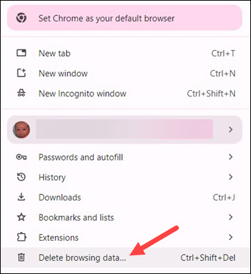 Red arrow to Delete browsing data