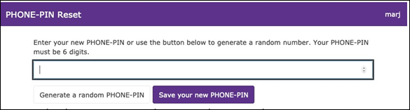 Save phone PIN