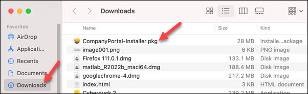 Red arrows to Downloads and CompanyPortal-Installer