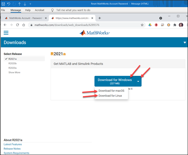 whereis the client license file for matlab on mac os